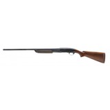 "Remington 31 12 Gauge (S12941)" - 4 of 4