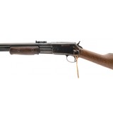 "Colt Lightning 44-40 Saddle Ring Carbine (AC159)" - 5 of 5