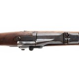 "Springfield 1884 Trapdoor 45-70 (AL5564)" - 5 of 7