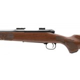 "Winchester 70 Featherweight .243 Win (W11288)" - 3 of 5