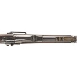 "U.S. Springfield Model 1884 Trapdoor Carbine (AL6978)" - 5 of 9