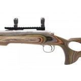 "Remington 700 243 Win. (R29755)" - 4 of 4