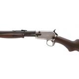 "Winchester 1906 Expert 22LR (W11220)" - 4 of 5