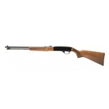 "Winchester 190 22LR (W11217)" - 5 of 5