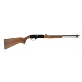 "Winchester 190 22LR (W11217)" - 1 of 5