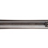 "Evans New Model Sporting Rifle (AL6941)" - 6 of 8