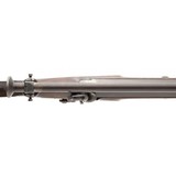 "Slotterbek Half Stock Percussion Rifle (AL6118)" - 7 of 10