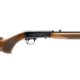 "Browning Auto 22LR (R29803)" - 4 of 4