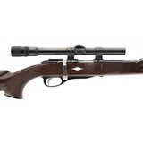 "Remington Nylon 12 22LR (R29817)" - 4 of 4