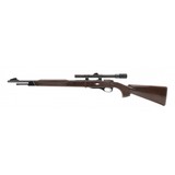 "Remington Nylon 12 22LR (R29817)" - 2 of 4