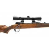 "Winchester 70 Westerner 270 Win. (W11359)" - 5 of 5
