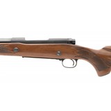 "Winchester 70 375 H&H Magnum (W11357)" - 4 of 5