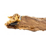 "British No. 4 MK2 303 British In Wrap (R29959)" - 2 of 5