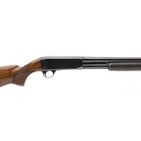 "Remington 17 20 Gauge (S13248)" - 4 of 4