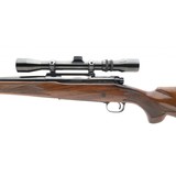 "Winchester 70 270 Win. (W11364)" - 5 of 5