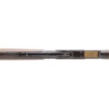 "Winchester 1873 22 Short (AW144)" - 10 of 10