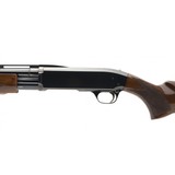 "Browning BPS 20 Gauge (S13319)" - 3 of 4