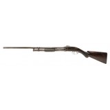 "Bannerman Model 1896 Shotgun (AS97)" - 6 of 9