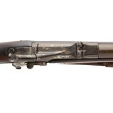 "Springfield 1884 Trapdoor 45-70 (AL7103)" - 7 of 9