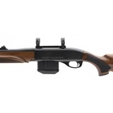 "Remington 750 Woodsmaster .243 Win (R29833)" - 3 of 4