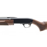 "Browning BPS Field 20 Gauge (NGZ645) NEW" - 3 of 5