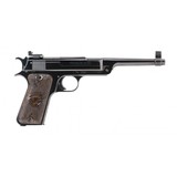 "Reising Target Automatic .22 LR (PR54837)" - 1 of 5