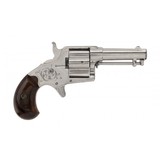 "Beautiful Factory Engraved Colt Cloverleaf (AC276)" - 6 of 6