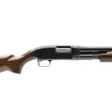 "Winchester 12 12 Gauge (W11462)" - 4 of 5