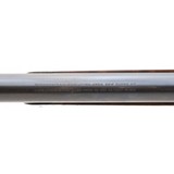 "Beautiful Deluxe Winchester 1873 Rifle 44-40 (AW206)" - 8 of 14