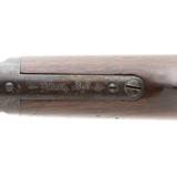 "Winchester 1873 Saddle Ring Carbine (AW209)" - 8 of 11
