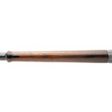 "Winchester 1895 Rifle in 30-03 (W11326)" - 5 of 10