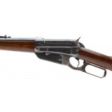 "Winchester 1895 Rifle in 30-03 (W11326)" - 6 of 10