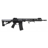 "Palmetto PA-15 5.56 NATO (R29629)" - 1 of 4