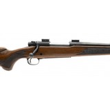 "Winchester 70 .243 Win (W11471)" - 5 of 5