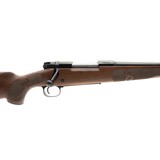 "Winchester 70 Featherweight Compact 7MM-08 (NGZ755) NEW" - 5 of 5