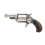 "Excellent Cased Pair of Colt New Line .38 Revolvers (C13231)" - 12 of 19