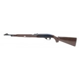 "Remington Nylon 66 .22LR (R30674)" - 3 of 4