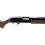 "Ted Williams 200 12 Gauge (S13424)" - 4 of 4