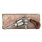 "Factory Engraved Colt New Line 22 (C14634)" - 1 of 8