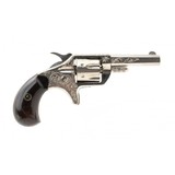 "Factory Engraved Colt New Line 22 (C14634)" - 6 of 8