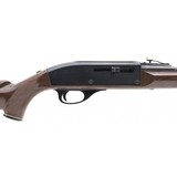 "Remington Nylon 66 .22LR (R30697)" - 3 of 4