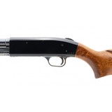 "Mossberg 500CT 20 Gauge (S13432)" - 3 of 4