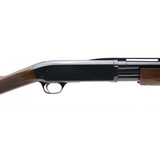 "Browning BPS Field 20 Gauge (S13569)" - 4 of 4