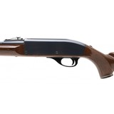 "Remington Nylon 66 .22LR (R31077)" - 3 of 4