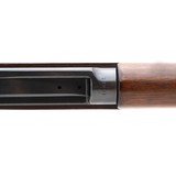 "Winchester 1895 Lee Navy 6mm Lee Navy (AW259)" - 4 of 5