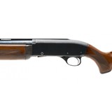 "J.C. Higgins 60 12 Gauge (S13442)" - 3 of 4