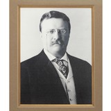"Signed Letter from Theodore Roosevelt to Russel Harrison, Framed. (MIS1353)" - 5 of 6