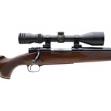 "Winchester 70 Heavy Varmint .22-250 (W11641)" - 5 of 5