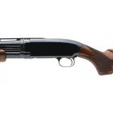 "Winchester 12 Deluxe Pigeon Grade Pre-64 20 Gauge (S13798)" - 3 of 4