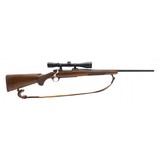 "Ruger M77 Hawkeye .243 Win (R30747)" - 1 of 4